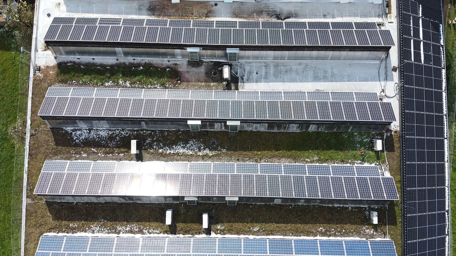 Photovoltaik auf dem Gründach: Was die Kombination wirklich bringt